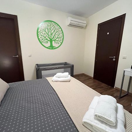 Apartamento El Mirador De La Farga Arbucies Ngoại thất bức ảnh