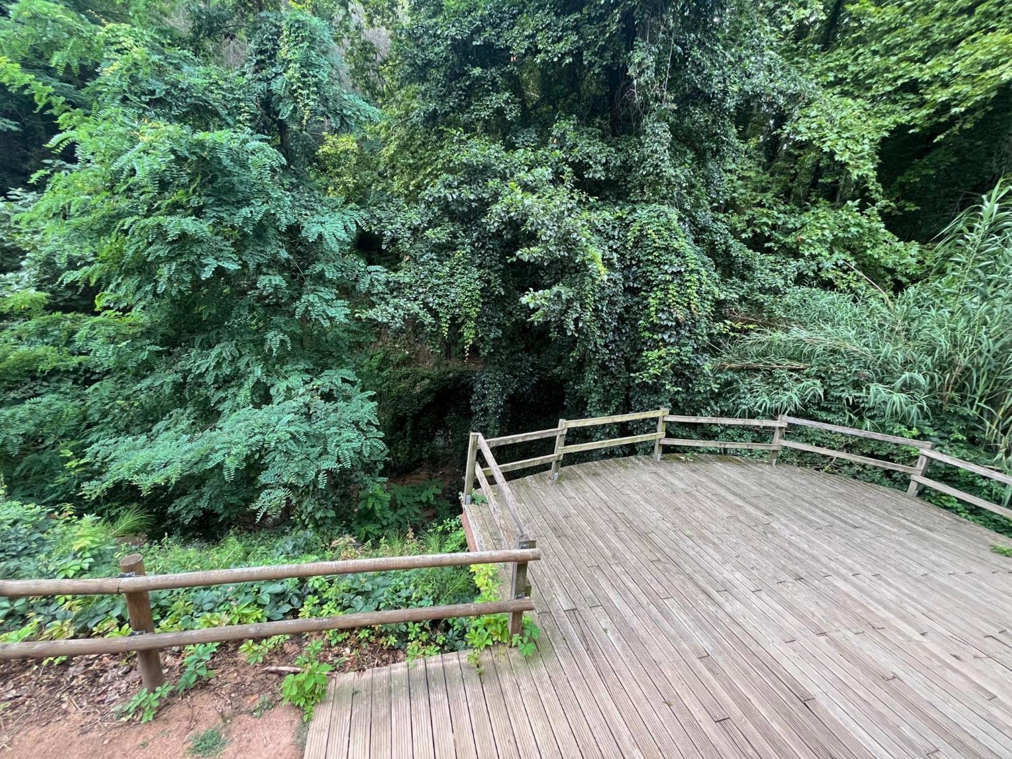 Apartamento El Mirador De La Farga Arbucies Ngoại thất bức ảnh